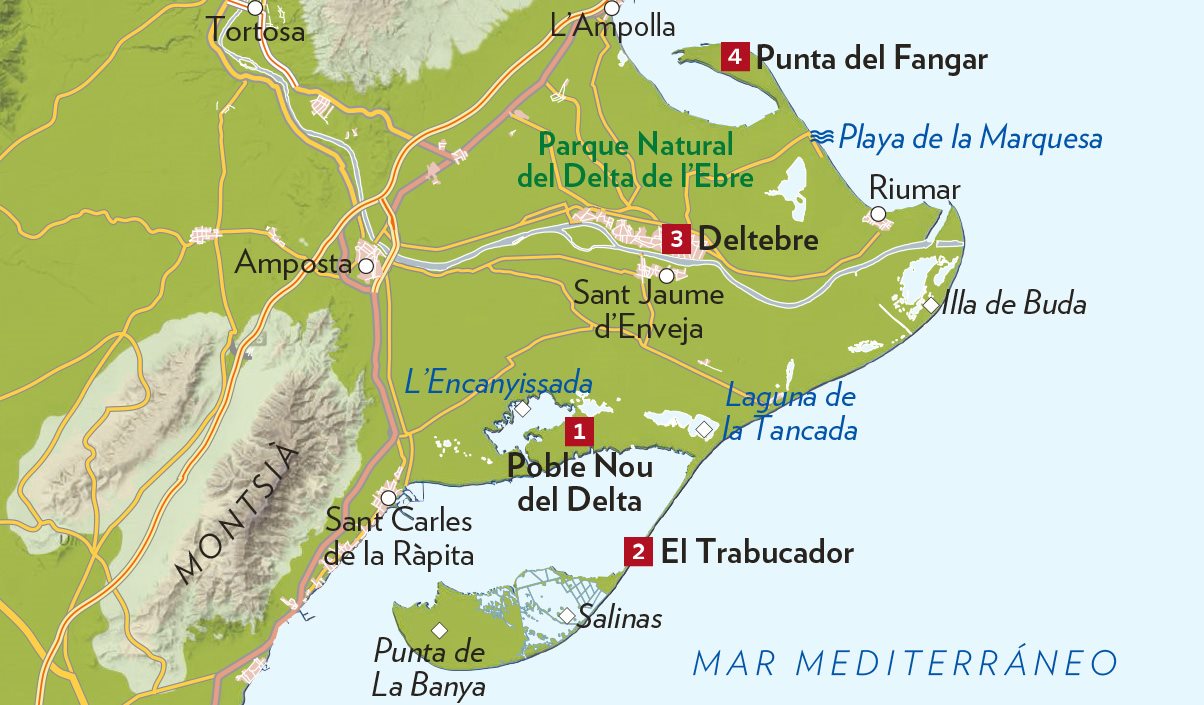 Que Hacer En Deltebre Castellontours