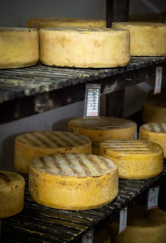 Queso palmero: el sabor más auténtico de La Palma