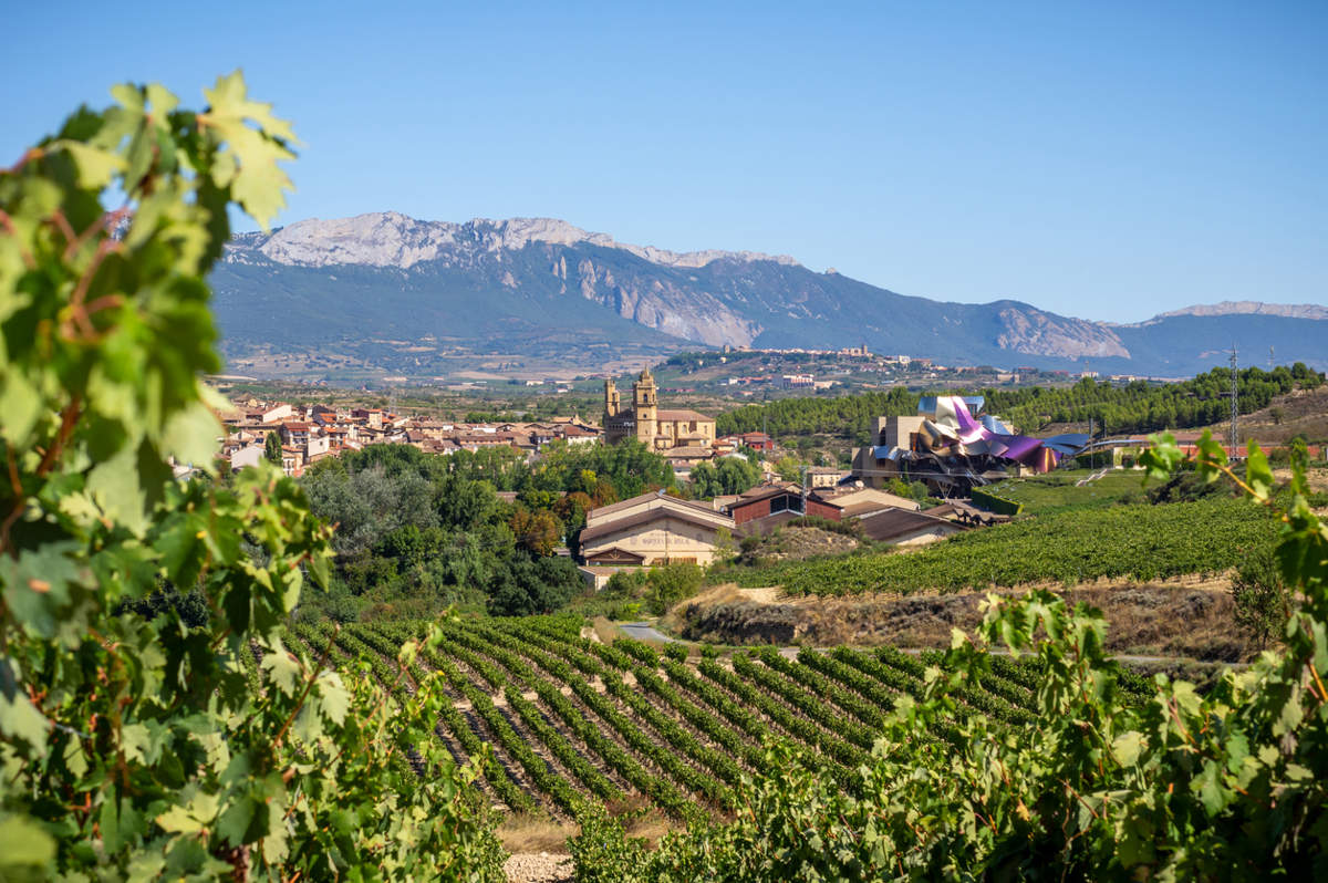 El Ciego, en la Rioja Alavesa