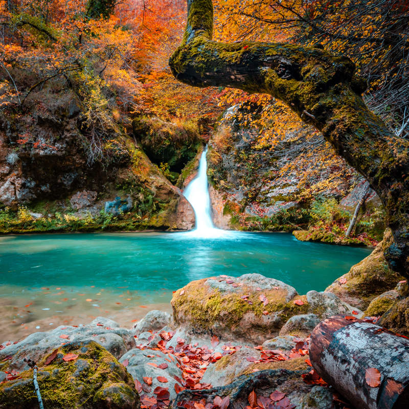 Navarra