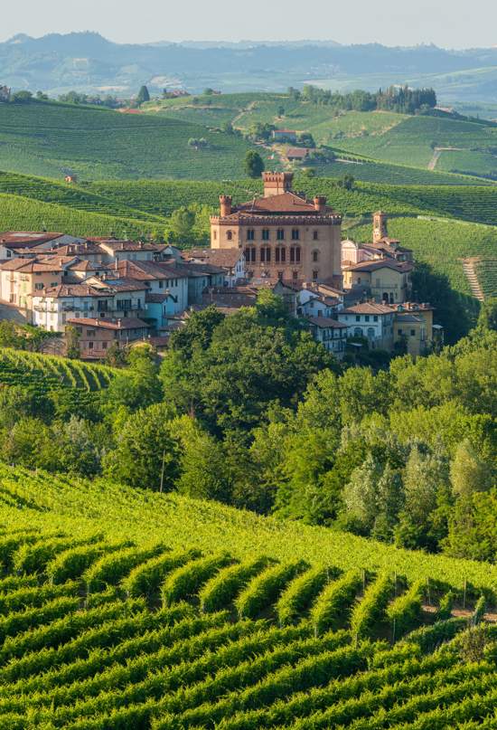 barolo6