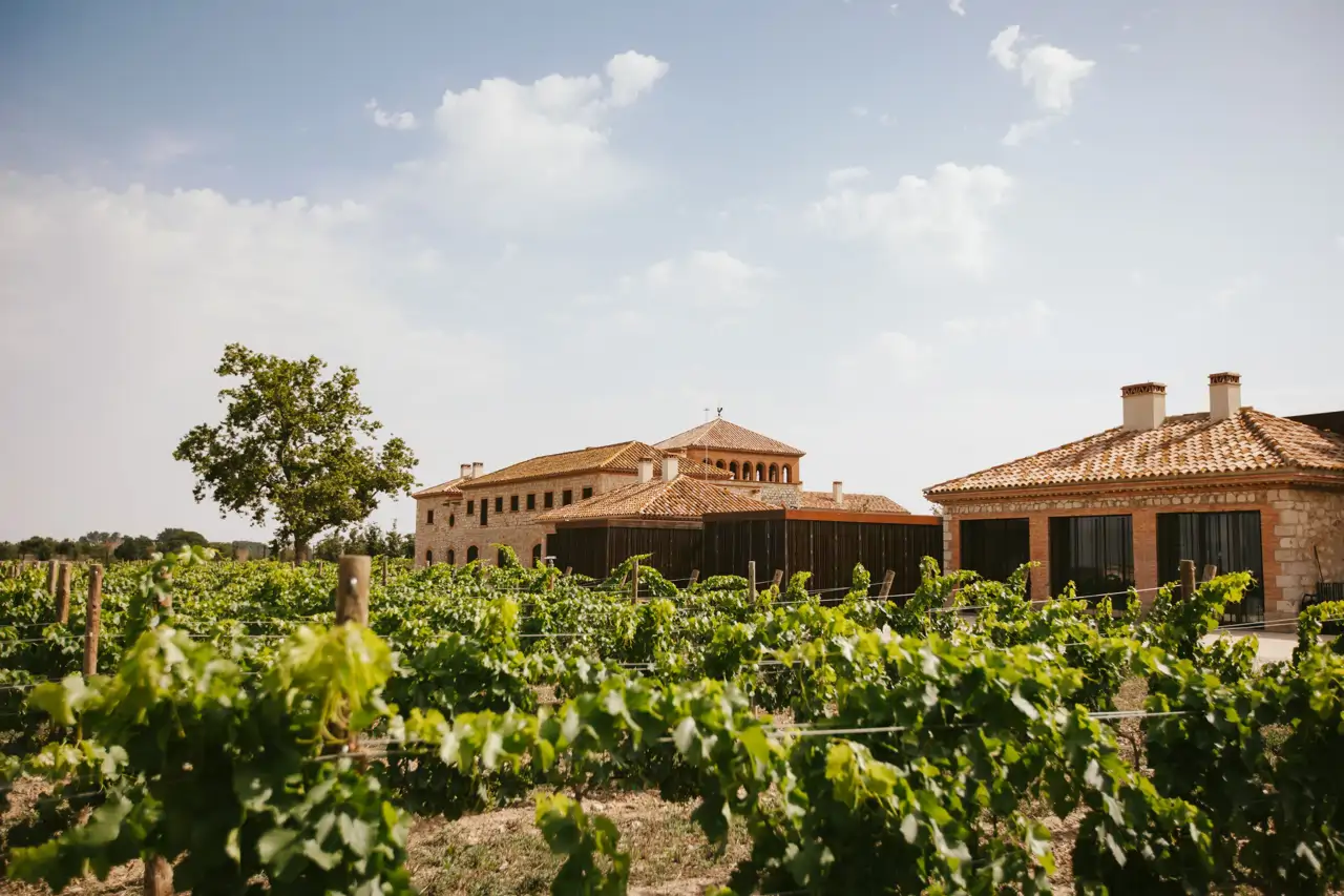 Bodega Grup Perelada
