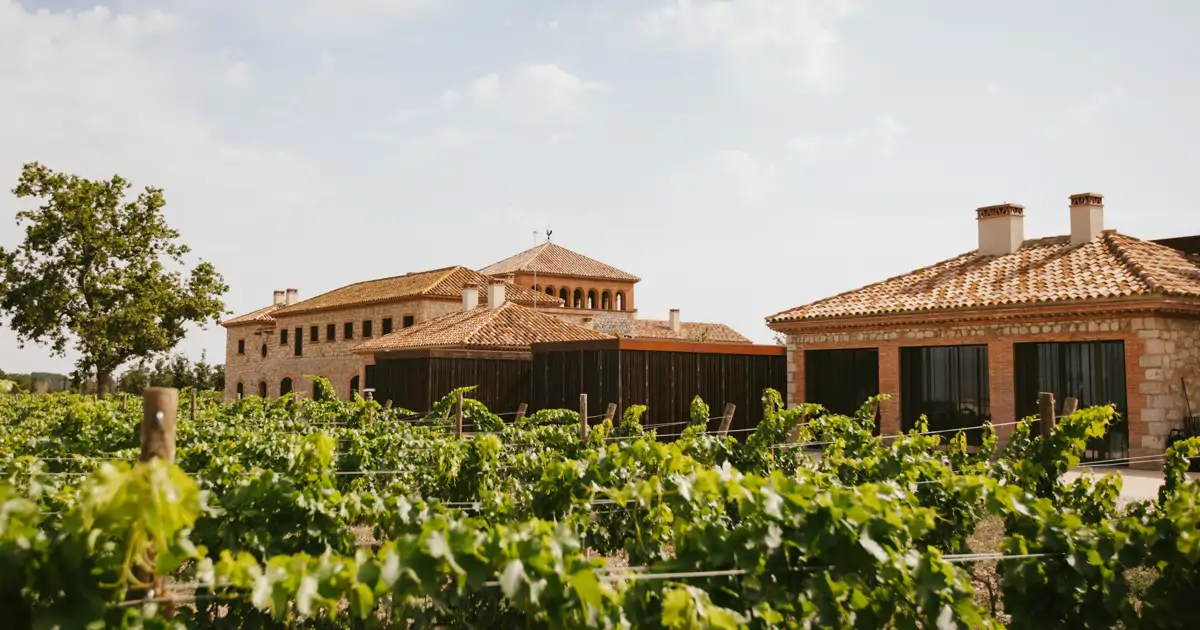 Las bodegas de la Costa Brava donde «puedes vivir experiencias increíbles»