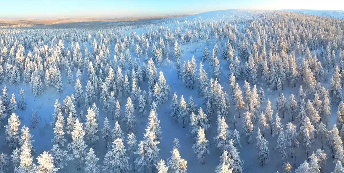Parque Nacional Urho Kekkonen