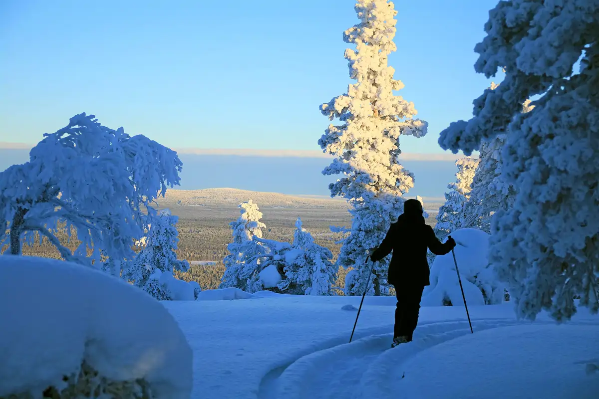 Parque Nacional Pyhä-Luosto