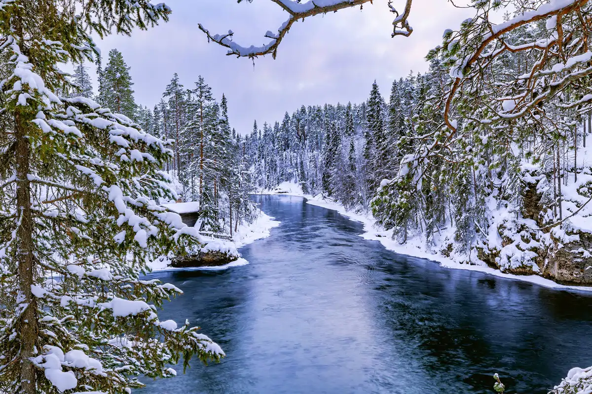 Parque Nacional Oulanka-Paanajärvi