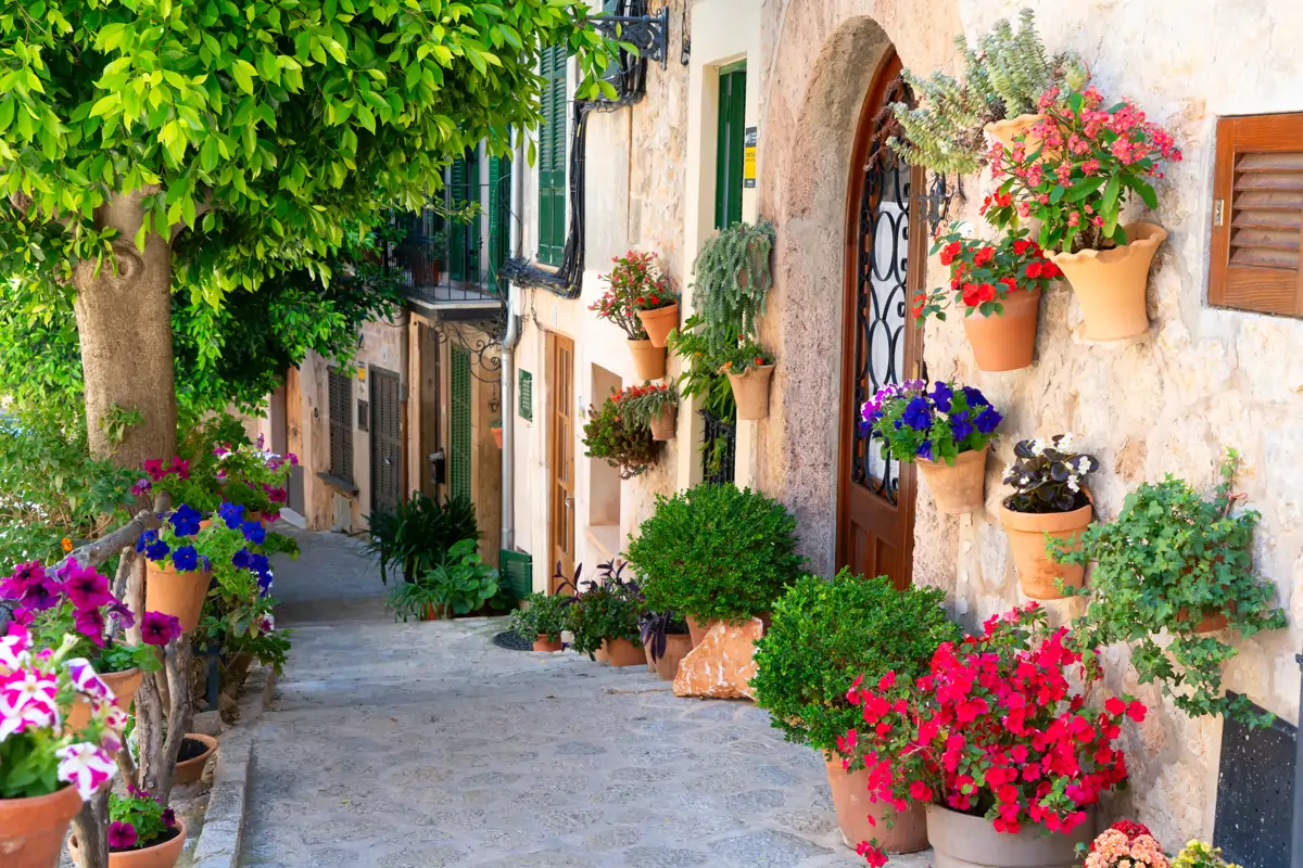 Valldemossa