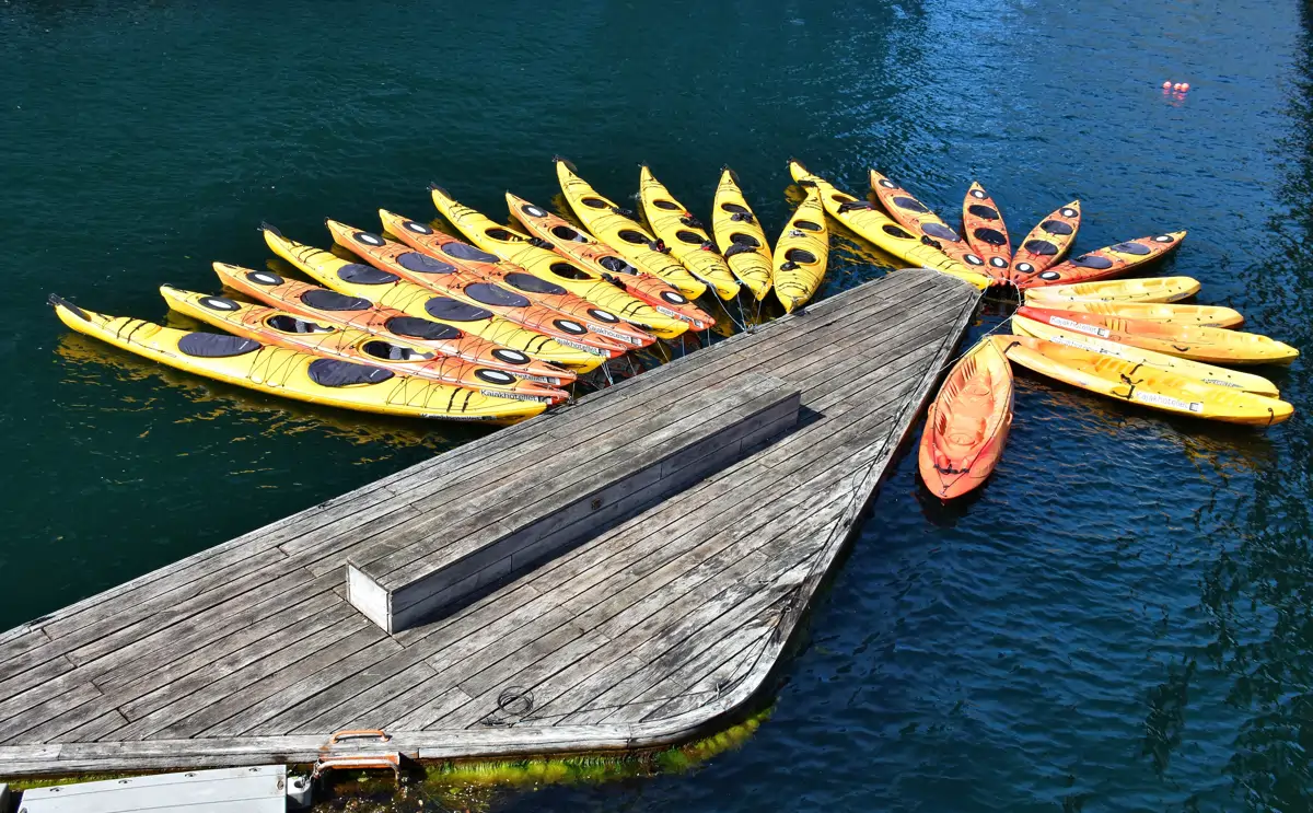 kayak