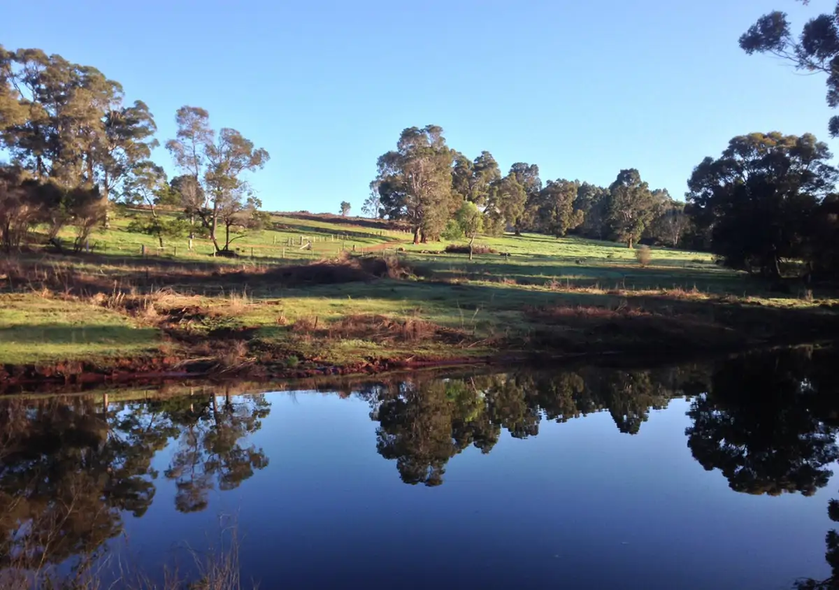 Voluntariado granja Australia Occidental