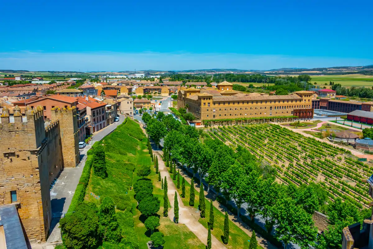 Olite viñedos